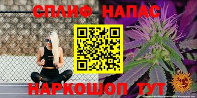 стаф Бузулук