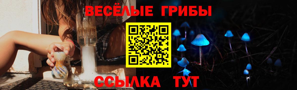 Псилоцибиновые грибы мицелий Можга